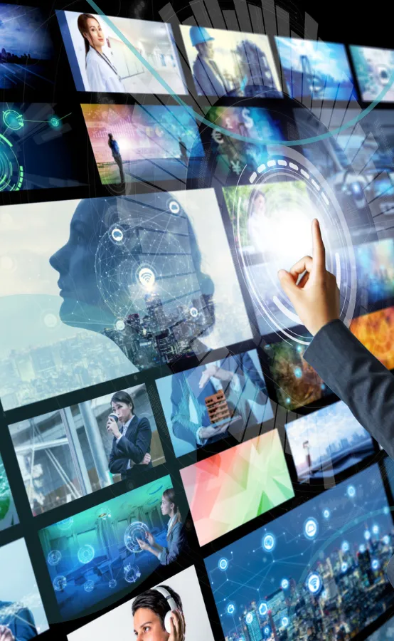 Plataforma Gestão imagem